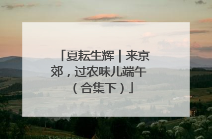 夏耘生辉｜来京郊，过农味儿端午（合集下）