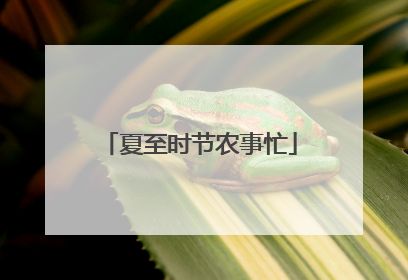 夏至时节农事忙