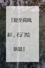 夏至荷风起，石门绘新景