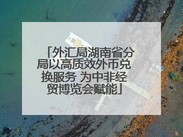 外汇局湖南省分局以高质效外币兑换服务 为中非经贸博览会赋能