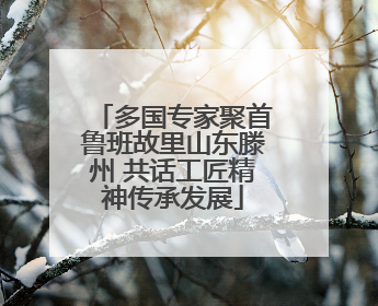 多国专家聚首鲁班故里山东滕州 共话工匠精神传承发展