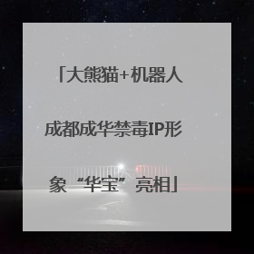 大熊猫+机器人 成都成华禁毒IP形象“华宝”亮相
