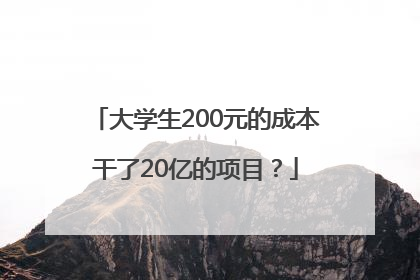 大学生200元的成本干了20亿的项目？