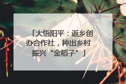 大悟阳平：返乡创办合作社，种出乡村振兴“金稻子”