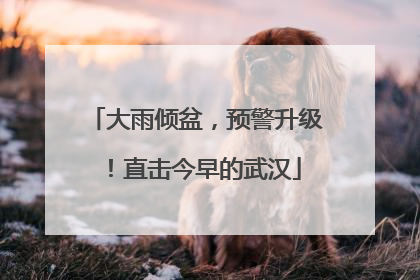 大雨倾盆，预警升级！直击今早的武汉