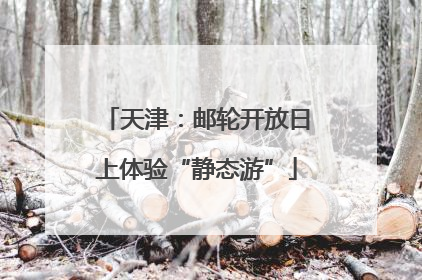天津：邮轮开放日上体验“静态游”
