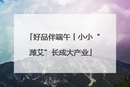 好品伴端午丨小小“潍艾”长成大产业