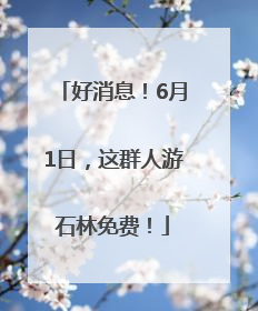 好消息！6月1日，这群人游石林免费！