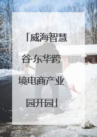 威海智慧谷·东华跨境电商产业园开园