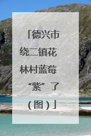 德兴市绕二镇花林村蓝莓“紫”了（图）