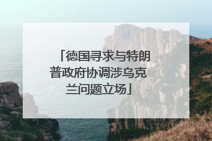 德国寻求与特朗普政府协调涉乌克兰问题立场