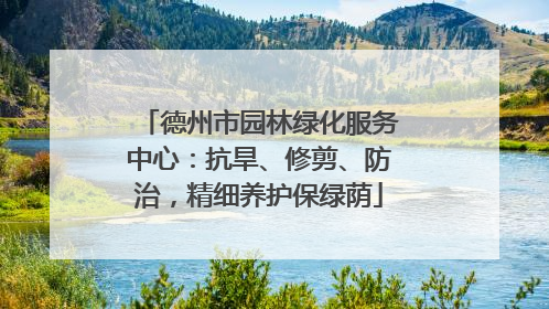 德州市园林绿化服务中心：抗旱、修剪、防治，精细养护保绿荫