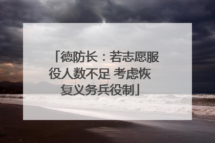 德防长：若志愿服役人数不足 考虑恢复义务兵役制