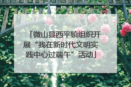 微山县西平镇组织开展“我在新时代文明实践中心过端午”活动