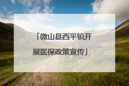 微山县西平镇开展医保政策宣传