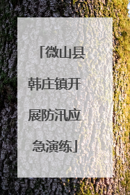 微山县韩庄镇开展防汛应急演练