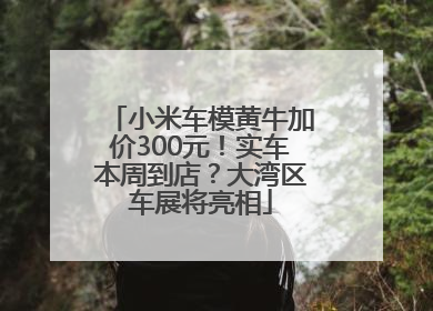 小米车模黄牛加价300元！实车本周到店？大湾区车展将亮相