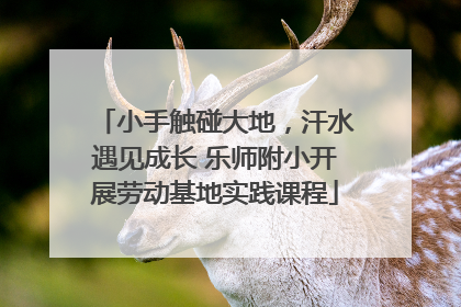 小手触碰大地，汗水遇见成长 乐师附小开展劳动基地实践课程