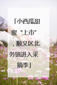 小西瓜甜蜜“上市”，顺义区北务镇进入采摘季