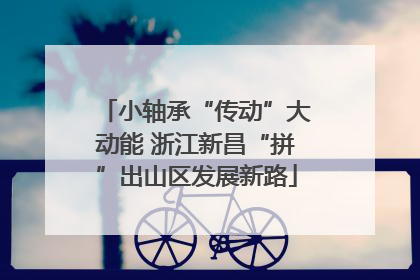 小轴承“传动”大动能 浙江新昌“拼”出山区发展新路