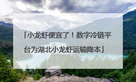 小龙虾便宜了！数字冷链平台为湖北小龙虾运输降本