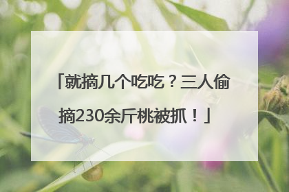 就摘几个吃吃？三人偷摘230余斤桃被抓！