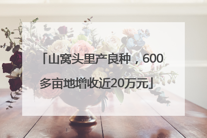 山窝头里产良种，600多亩地增收近20万元