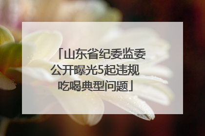 山东省纪委监委公开曝光5起违规吃喝典型问题
