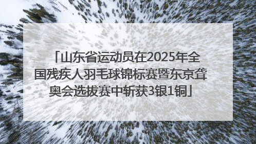 山东省运动员在2025年全国残疾人羽毛球锦标赛暨东京聋奥会选拔赛中斩获3银1铜