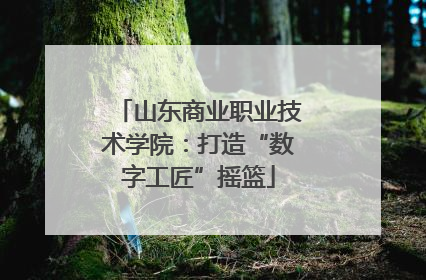 山东商业职业技术学院：打造“数字工匠”摇篮