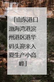 山东港口渤海湾港滨州港区港华码头迎来入夏生产小高峰