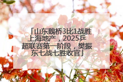 山东魏桥3比1战胜上海地产，2025乒超联赛第一阶段，樊振东七战七胜收官
