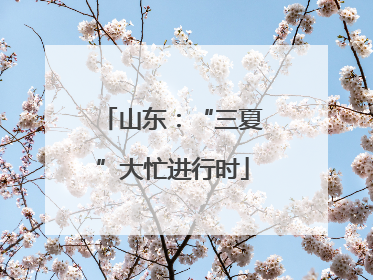 山东：“三夏”大忙进行时
