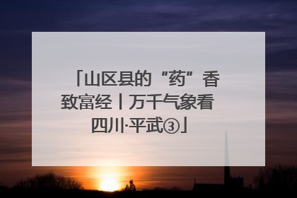山区县的“药”香致富经丨万千气象看四川·平武③