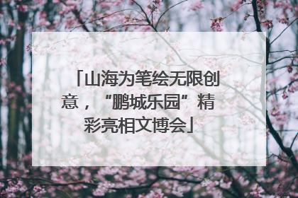 山海为笔绘无限创意，“鹏城乐园”精彩亮相文博会