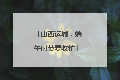 山西运城：端午时节麦收忙