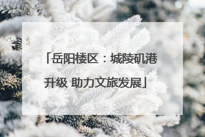 岳阳楼区：城陵矶港升级 助力文旅发展