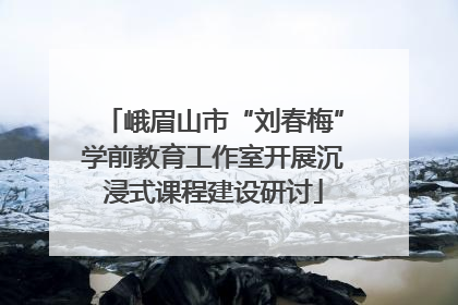 峨眉山市“刘春梅”学前教育工作室开展沉浸式课程建设研讨