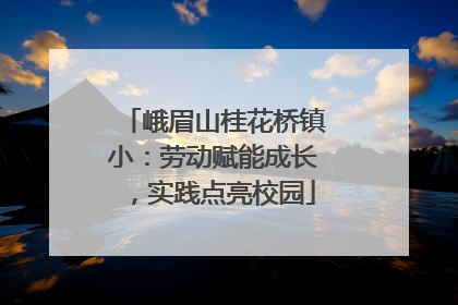 峨眉山桂花桥镇小：劳动赋能成长，实践点亮校园