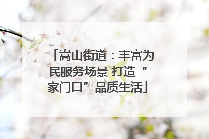 嵩山街道：丰富为民服务场景 打造“家门口”品质生活