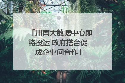 川南大数据中心即将投运 政府搭台促成企业间合作