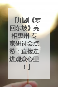 川剧《梦回东坡》亮相惠州 专家研讨会点赞：直接走进观众心里！