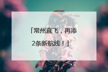 常州直飞，再添2条新航线！