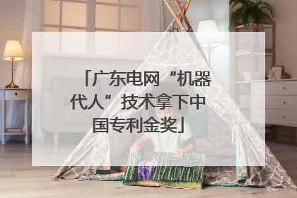 广东电网“机器代人”技术拿下中国专利金奖