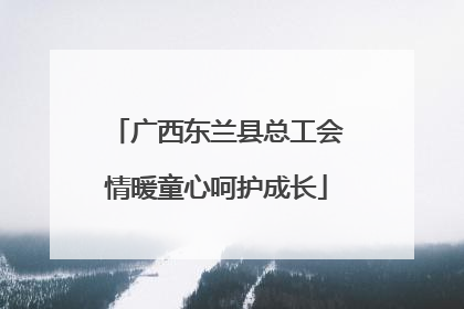 广西东兰县总工会情暖童心呵护成长