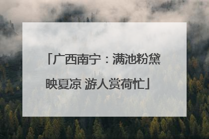 广西南宁：满池粉黛映夏凉 游人赏荷忙
