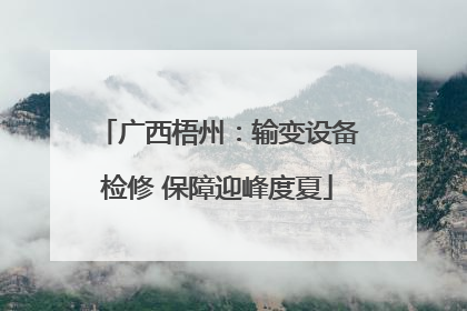 广西梧州：输变设备检修 保障迎峰度夏