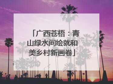 广西苍梧：青山绿水间绘就和美乡村新画卷