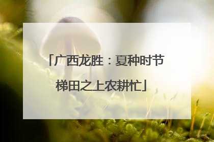 广西龙胜：夏种时节 梯田之上农耕忙