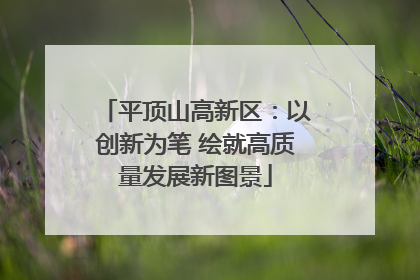 平顶山高新区：以创新为笔 绘就高质量发展新图景